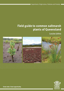 Field guide to common saltmarsh plants of Queensland by Louise Johns.